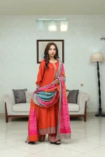 bandhni retro